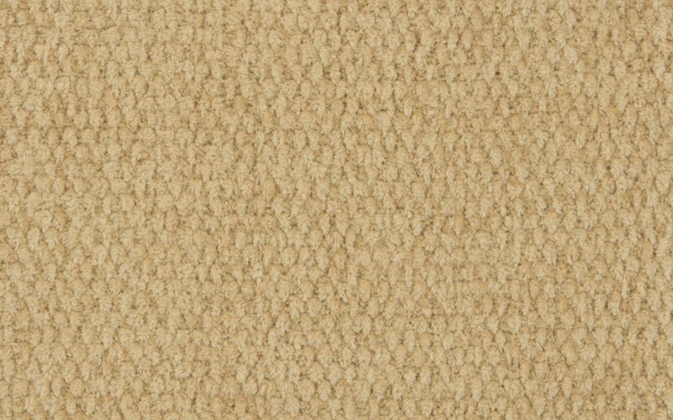 COUTURE COTTON N.3 - Cashew - Kelly Forslund Inc