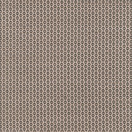 BRODERIE  -  Taupe Fin