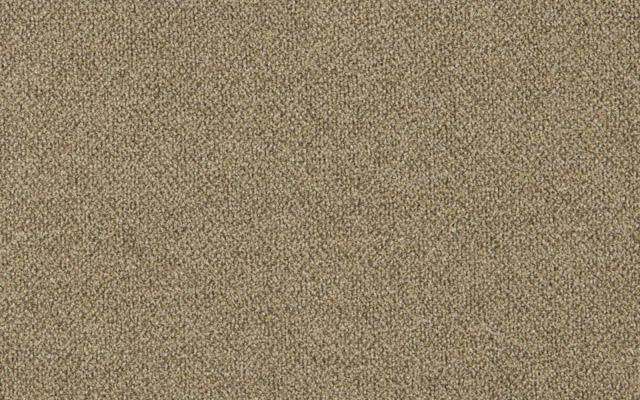 COUTURE BOUCLE N.2 - Taupe - Kelly Forslund Inc
