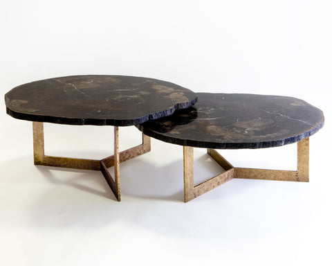 Petrified Wood Table