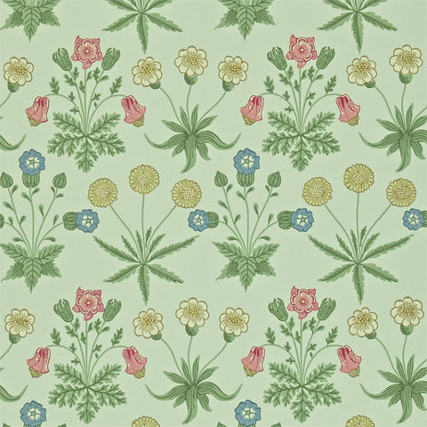 DAISY  -  Pale Green/Rose