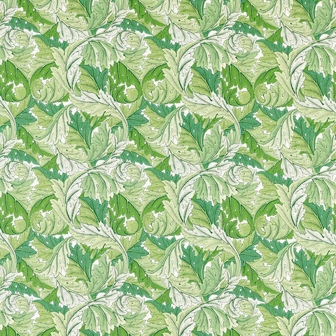 ACANTHUS - Leaf Green