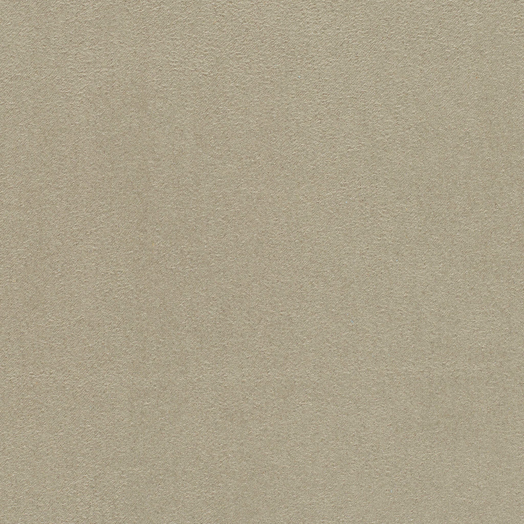NORELL SUEDE -  Gray - Kelly Forslund Inc