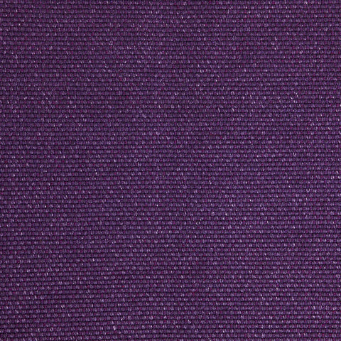 PINTURICCHIO - Purple