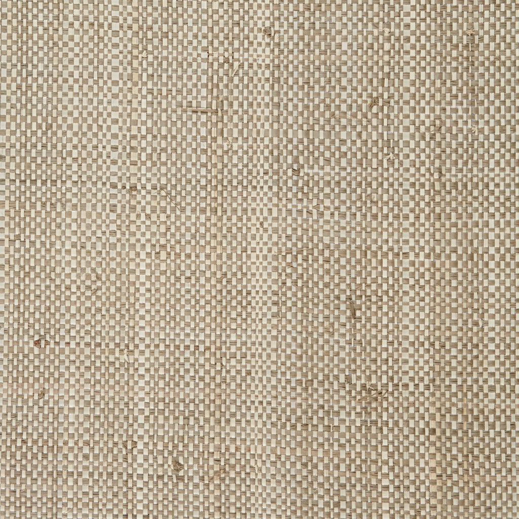 TWO- TONE RAFFIA -  Tapping Taupe - Kelly Forslund Inc