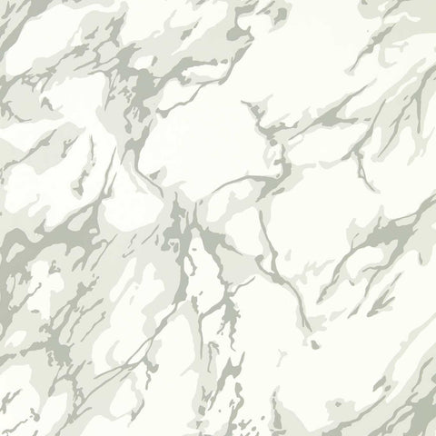 FRENCH MARBLE - Empire Grey / Perfect White